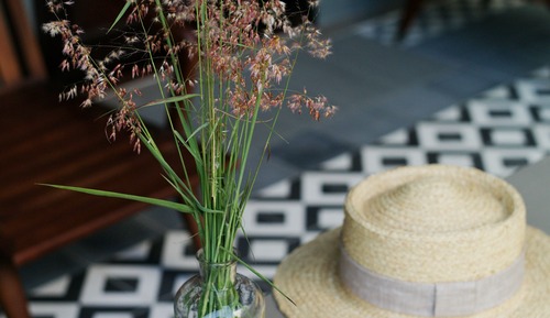 Estudio romántico (Garden Suite)