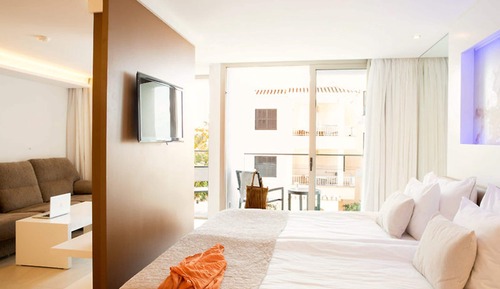 Suite junior