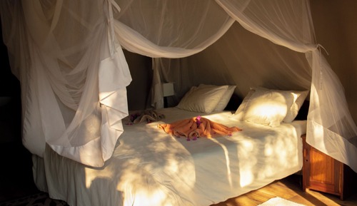 Habitación estándar