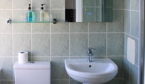 Habitación estándar con 2 camas individuales, baño privado