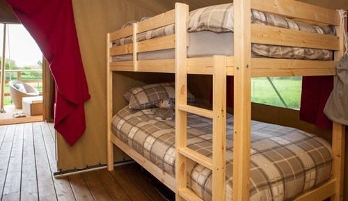 Luxury Family Safari Tent (Bluebell)
