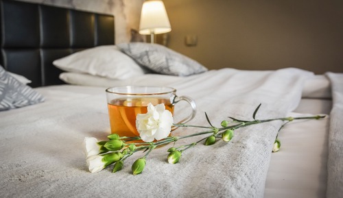Habitación básica con 1 cama doble o 2 individuales
