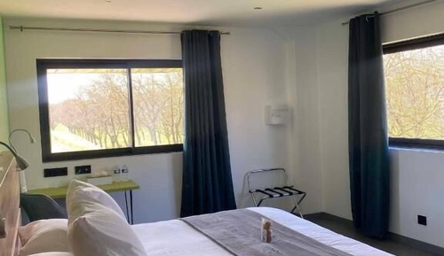 Habitación Premium con 1 cama doble o 2 individuales