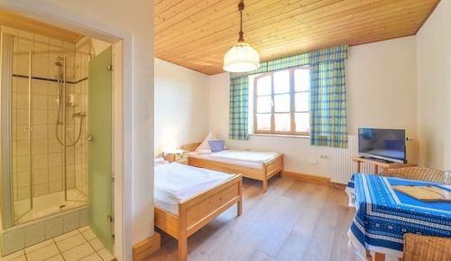 Habitación con 2 camas individuales