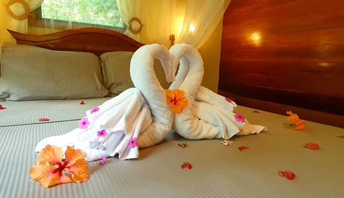 Casa, 1 cama de matrimonio, vistas al jardín (Coconut Tree House)