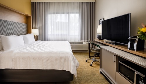 Habitación estándar, 1 cama de matrimonio grande