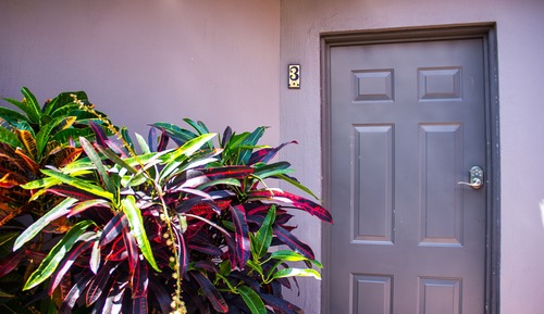 3 Las Margaritas : 1 Queen Bed, w/ Patio