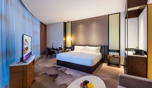 Privilege, Habitación, 1 cama de matrimonio grande
