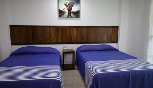 Habitación básica doble, 2 camas dobles