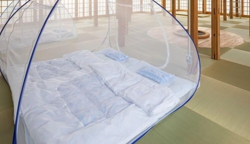 Habitación Grand (with Japanese Tatami Mat Flooring)