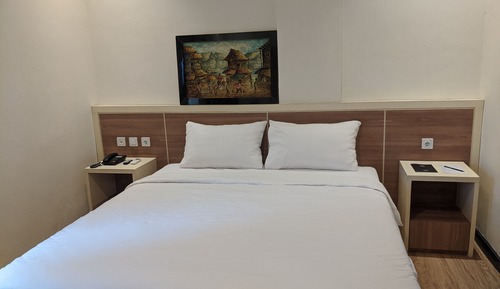 Habitación ejecutiva con 1 cama doble o 2 individuales