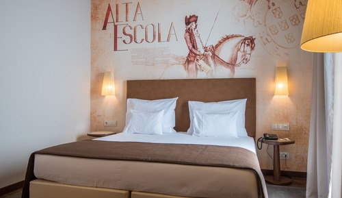 Habitación individual (Solar Lusitano)