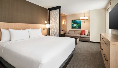 Habitación, 1 cama de matrimonio grande con sofá cama, accesible para personas con discapacidad