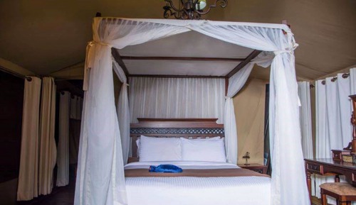 Habitación ejecutiva