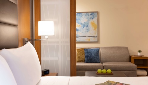 Habitación estándar, 1 cama de matrimonio grande con sofá cama