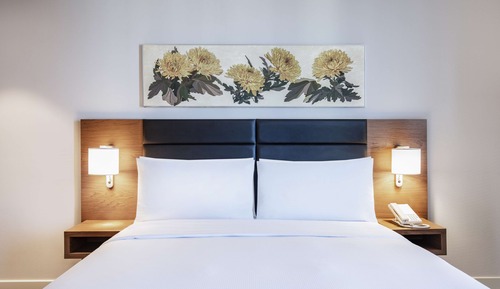 Habitación, 1 cama de matrimonio grande