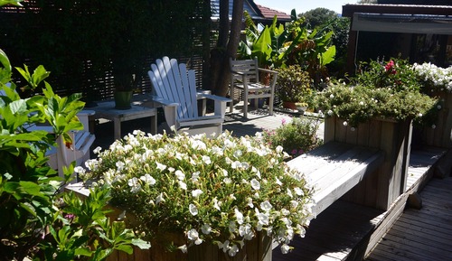 Queen Room, Garden View