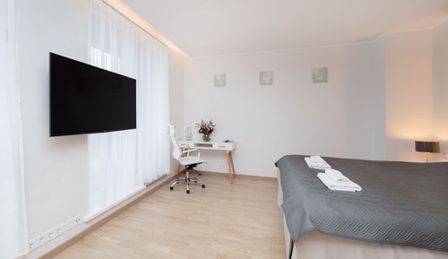 Smart Studio w/terrace (1A)