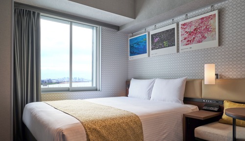 Habitación superior, no fumadores (with Onsen Ticket)