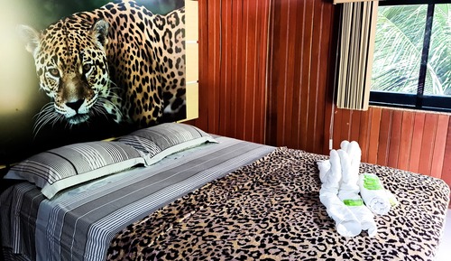 Traditional Room