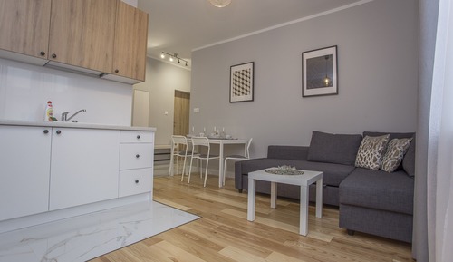 Comfort Apartment, 1 Bedroom, Kitchen, City View