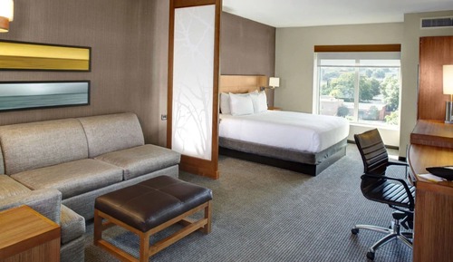 Habitación, 1 cama de matrimonio grande con sofá cama