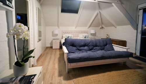 Estudio (Seagull)