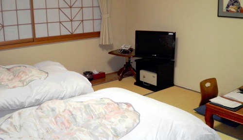 Habitación tradicional con 2 camas individuales (Japanese Style)
