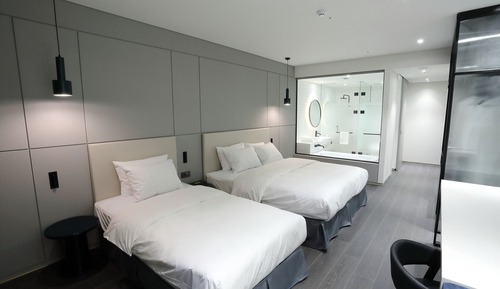 Habitación Deluxe con 2 camas individuales