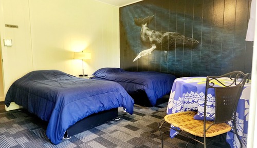 Habitación básica con 2 camas individuales