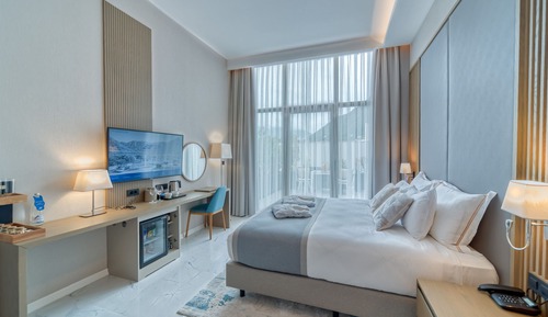 Habitación básica, 1 cama de matrimonio grande