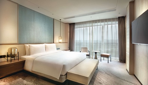 Suite, 1 cama de matrimonio grande con sofá cama