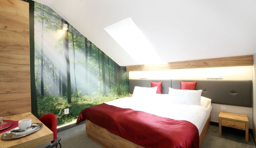 Habitación Deluxe con 1 cama doble o 2 individuales