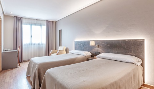 Habitación estándar con 2 camas individuales
