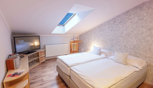 Habitación doble (attic)