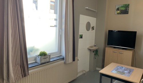 Habitación individual (Zen)