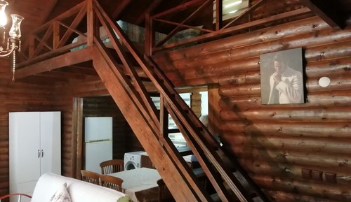 8 Family Tree House