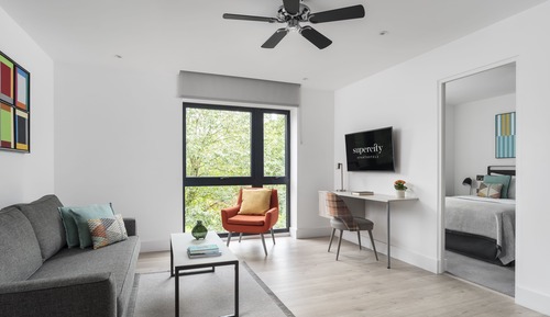 Suite, 1 habitación
