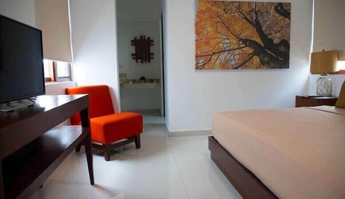 Suite Premium