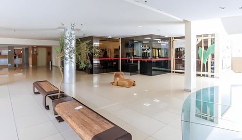 Apartamento (534843 )