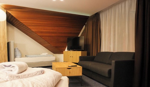 Habitación triple, 1 cama doble con sofá cama