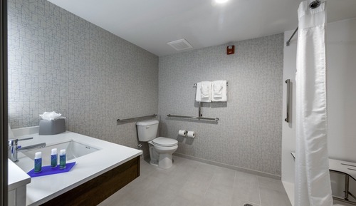Suite, 1 cama de matrimonio grande (Communication, Roll-In Shower)