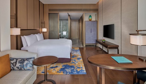 Habitación básica, 1 cama de matrimonio grande