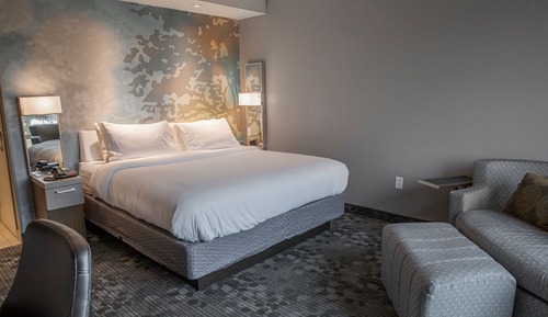 Habitación, 1 cama de matrimonio grande con sofá cama