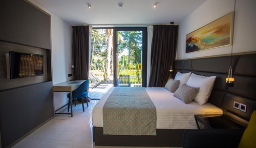Habitación estándar, balcón, vistas al parque