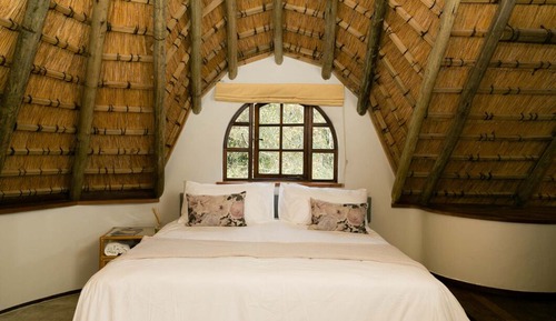 Suite estándar, 1 habitación