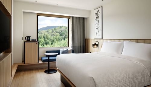 Habitación estándar, 1 cama de matrimonio grande, no fumadores