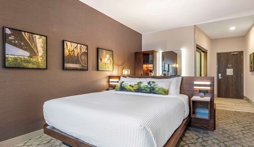 Habitación estándar, 1 cama de matrimonio grande, no fumadores