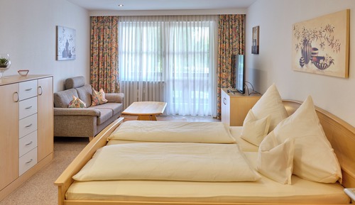 Habitación Confort doble, 1 cama doble, baño privado, vistas al patio