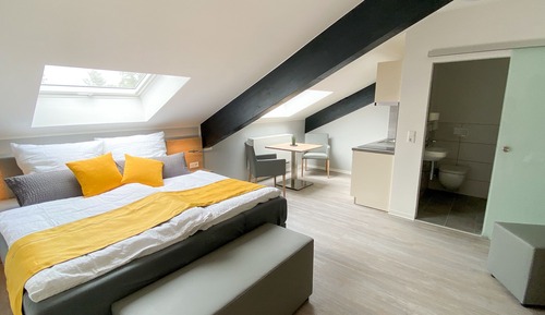 Habitación Business con 1 cama doble o 2 individuales